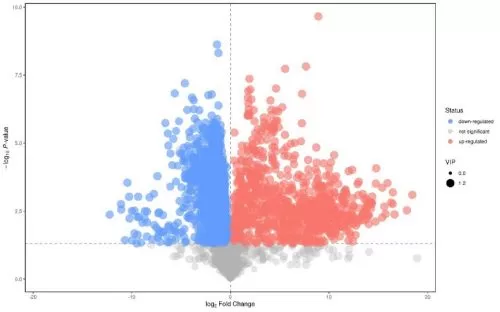 Volcano plot of differential metabolites based on FC- and P- values